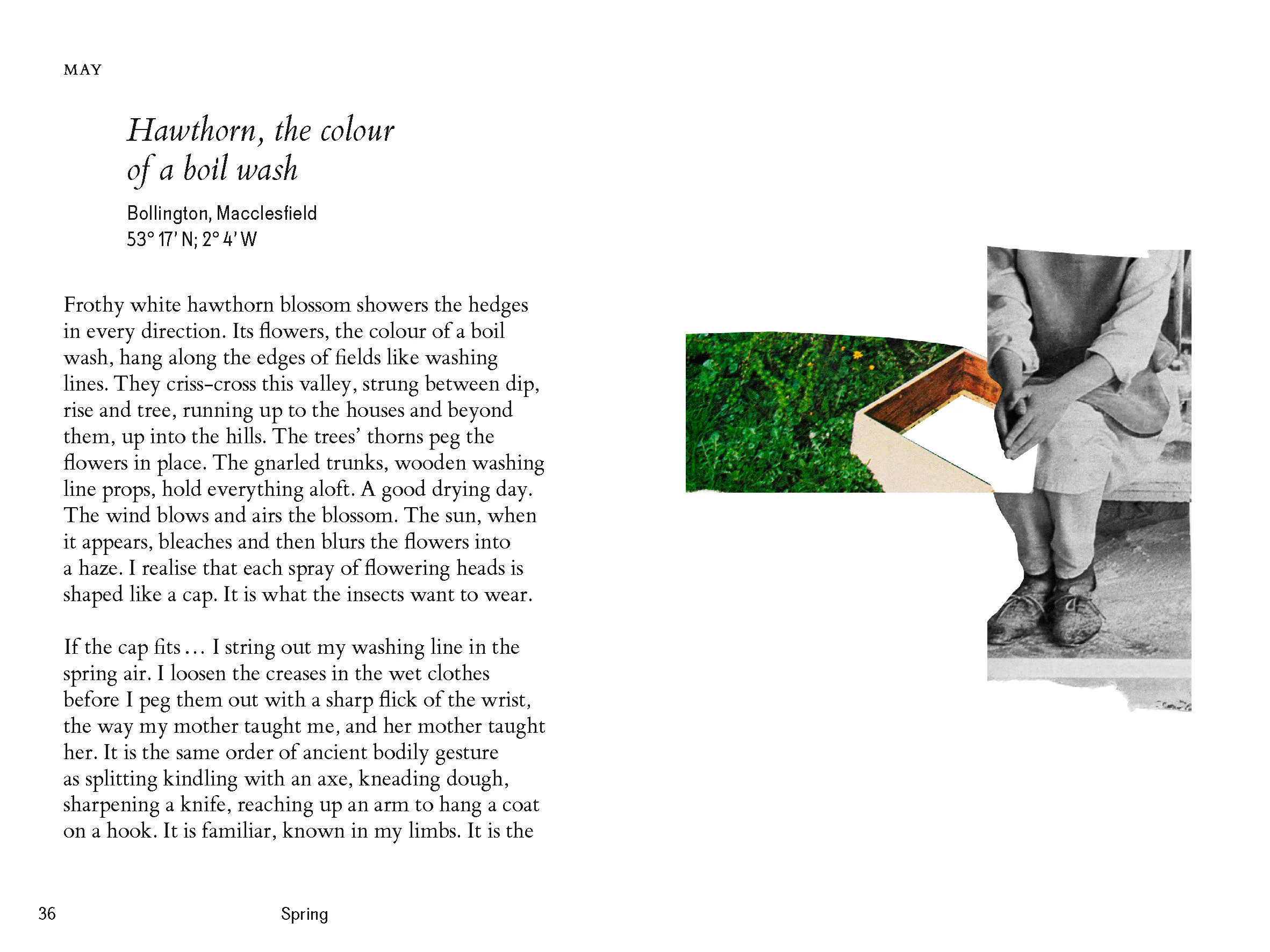 Fletcher's Almanac: Nature Encounters & Fashion Systems Through the Year, Kate Fletcher - Image 3
