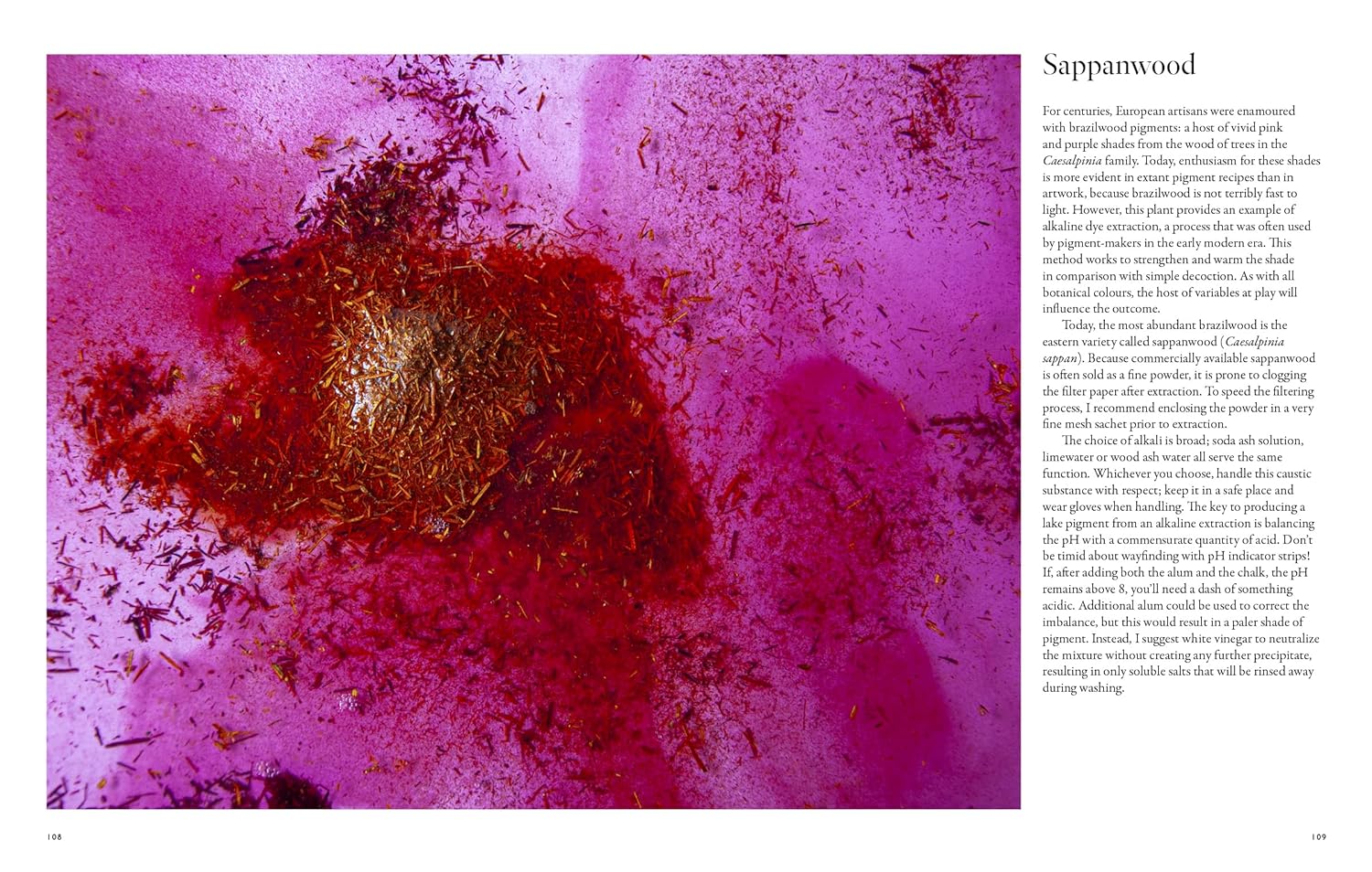 From Plant to Pigment, Natalie Stopka - Image 10