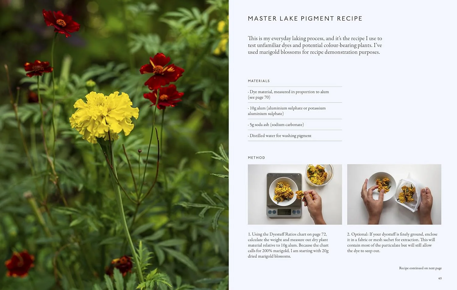 From Plant to Pigment, Natalie Stopka - Image 11