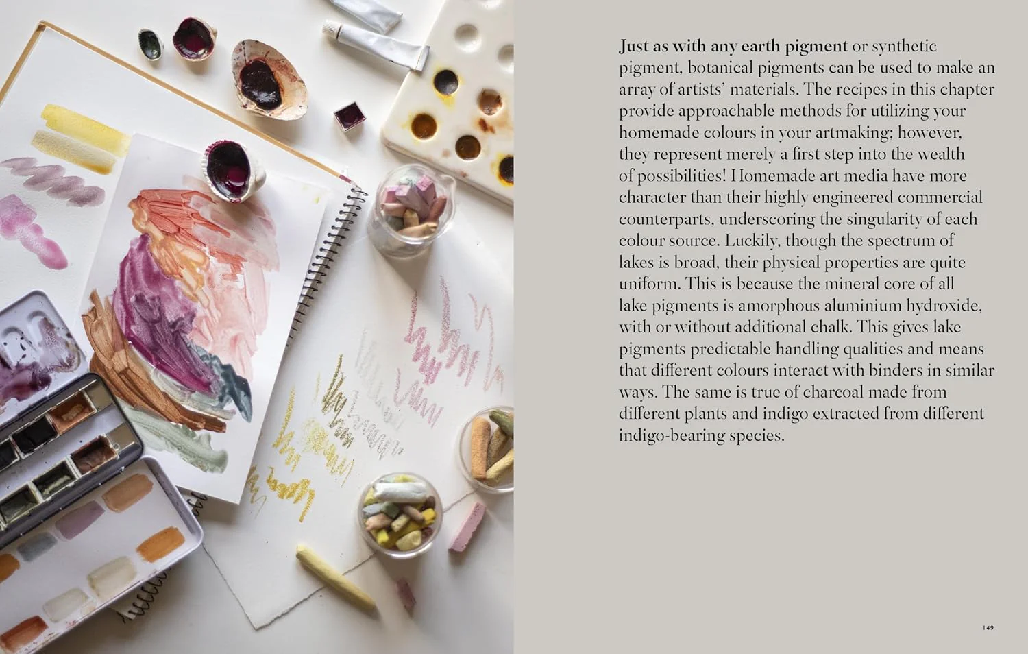 From Plant to Pigment, Natalie Stopka - Image 12