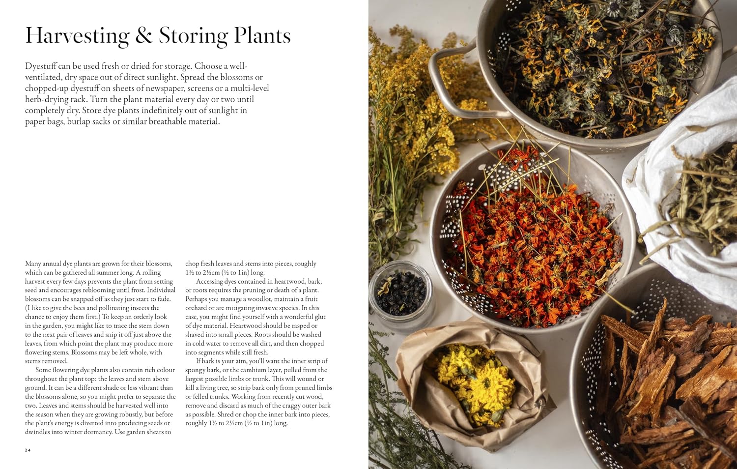 From Plant to Pigment, Natalie Stopka - Image 13