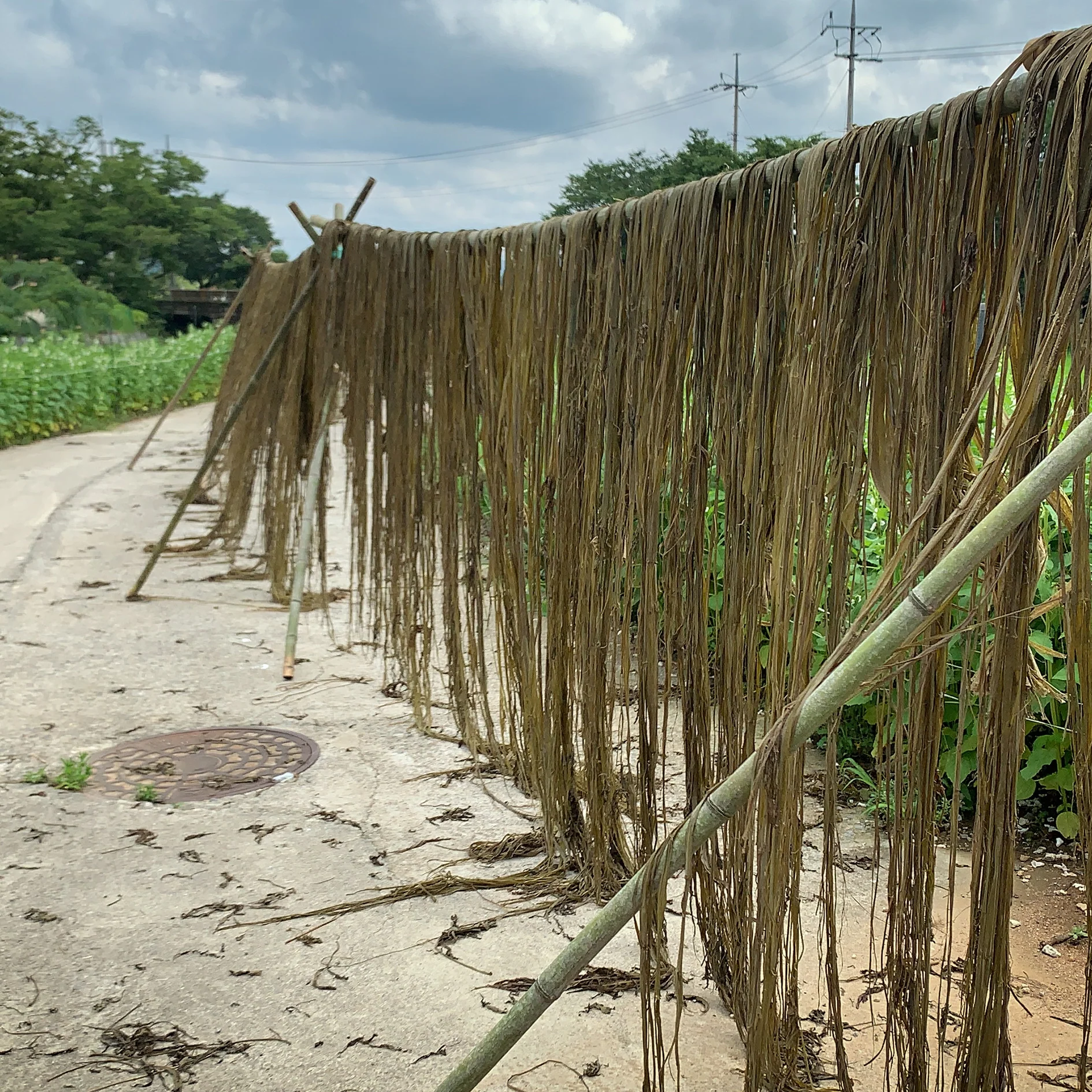 Issue 108 Farm - Image 8