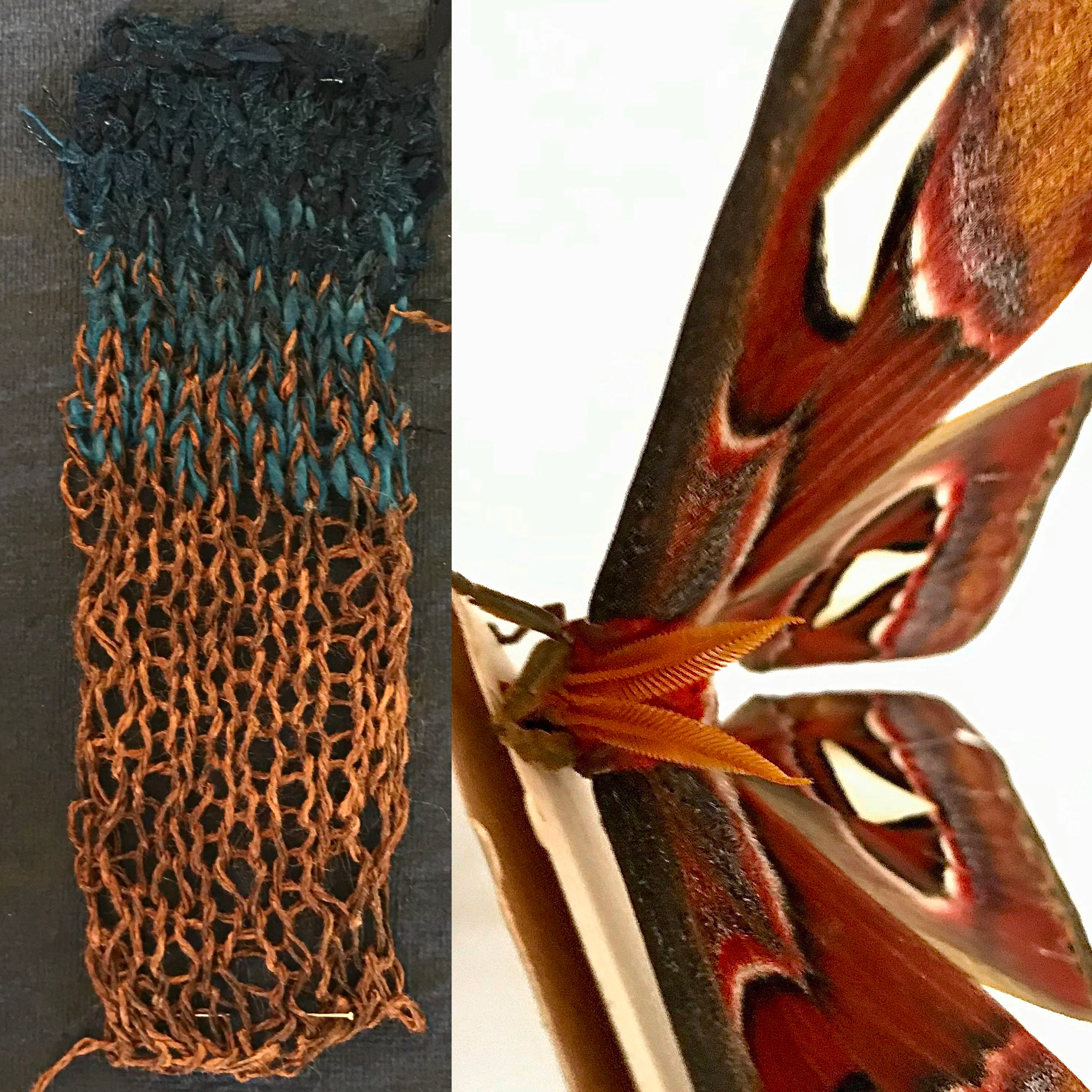 Issue 110 To Dye For - Image 3