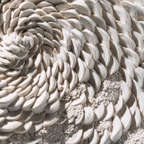 Issue 18 Island - Image 6