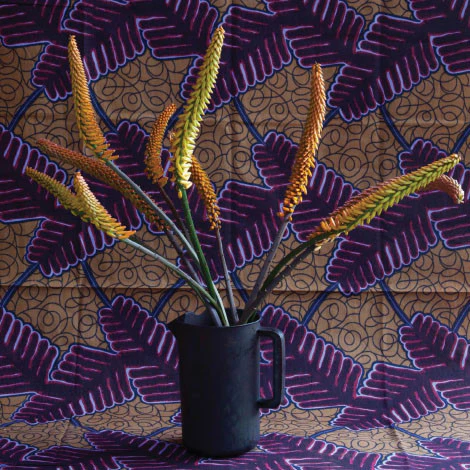 Issue 53 Equatorial - Image 7