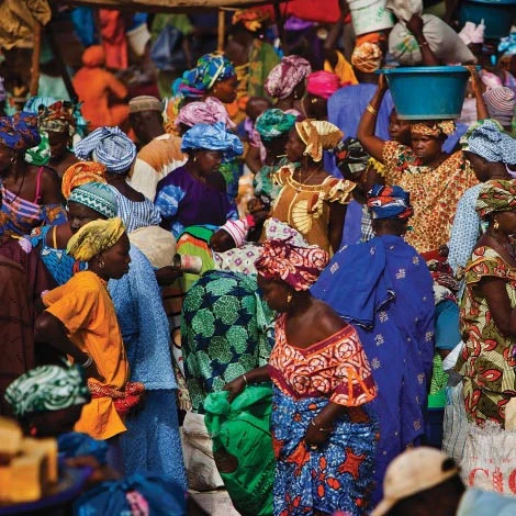 Issue 53 Equatorial - Image 9