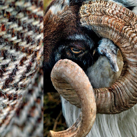 Issue 60 Knit - Image 3