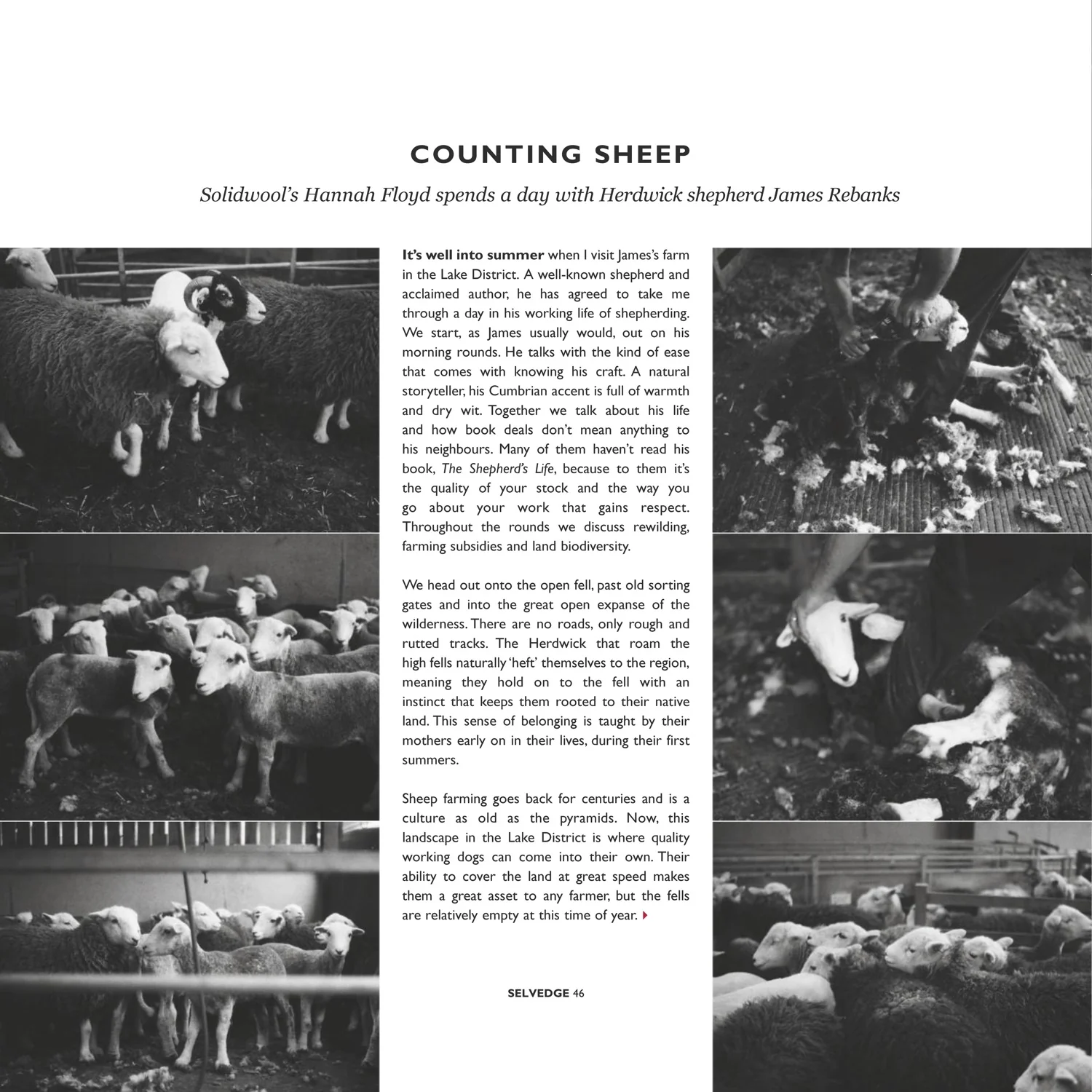 Issue 79 Luna - Image 20