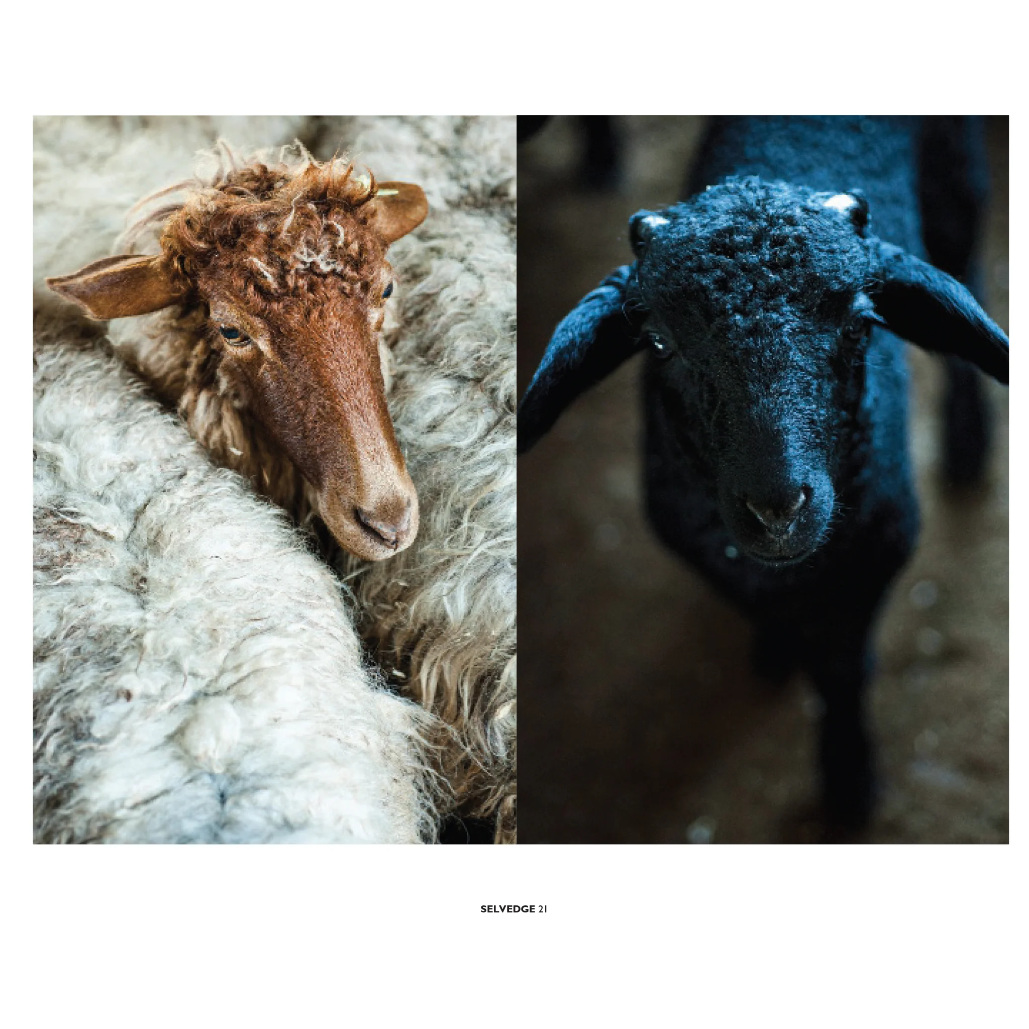 Issue 84 Surface - Image 15
