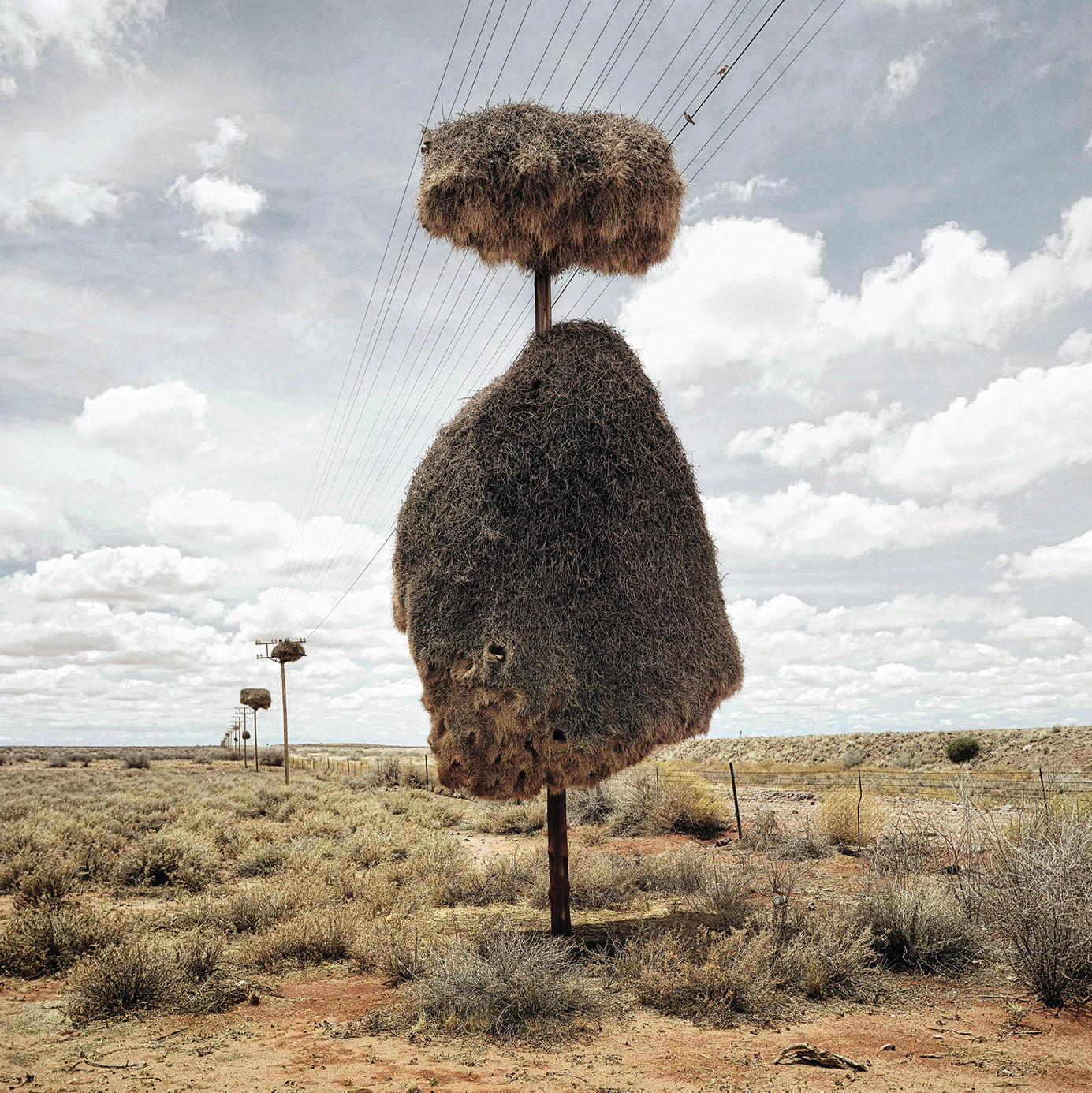 Issue 94 Earth - Image 3