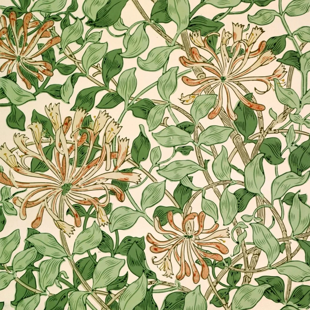 Saturday 13 September, 7-9 p.m.: Talk: Morris Mania - SOLD OUT - Image 5