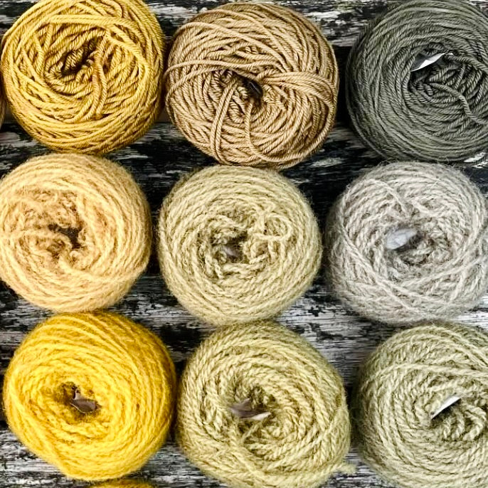 Wednesday 10 September, 10-4 p.m.: Workshop: Creating Vibrant Colour with Natural Dyes with Liz Baltesz - Image 4