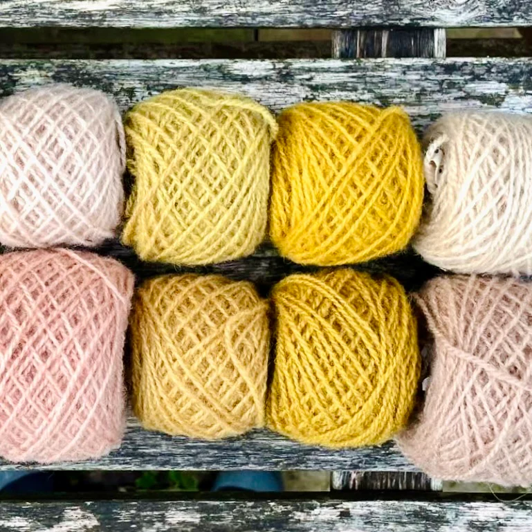 Wednesday 10 September, 10-4 p.m.: Workshop: Creating Vibrant Colour with Natural Dyes with Liz Baltesz - Image 9