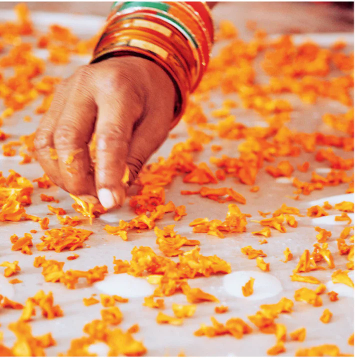 Saturday 6 September, 6-7 p.m.: Online Talk: From Seed to Garment: Decolonising Ethical Fashion with Madhu Vaishnav of Saheli Women - Image 6