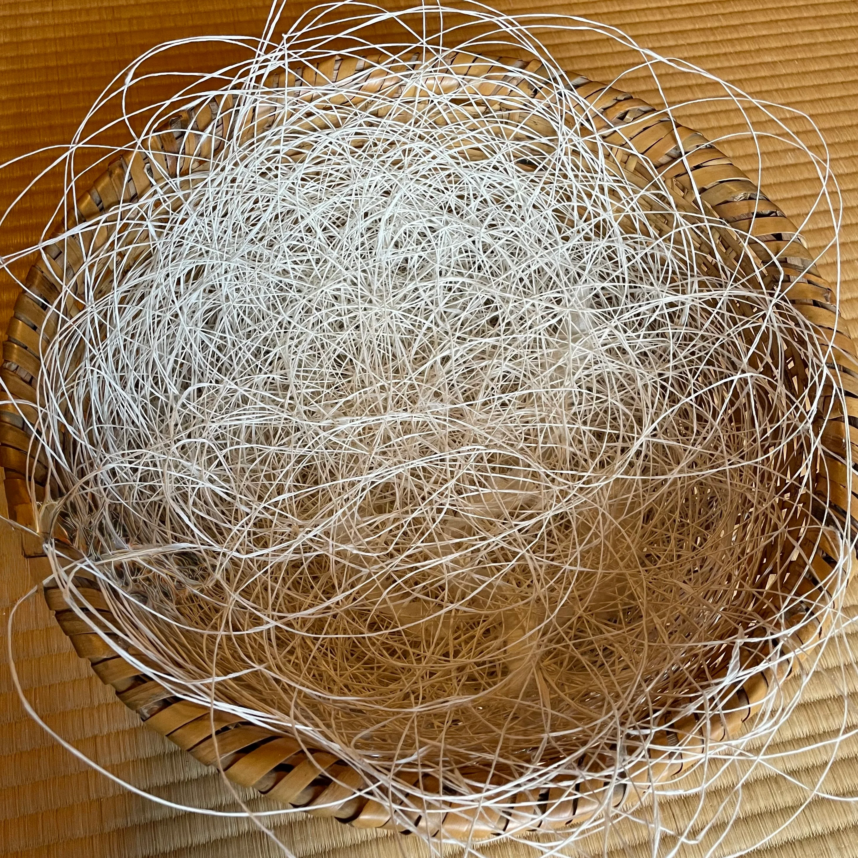 Tuesday 22 - Wednesday 23 September 2026, 11 - 4 p.m.: Workshop, Threads of Paper: Woven Structures and Mark-Making using Paper Thread with Sue Lawty and Kendall Clarke - Image 4