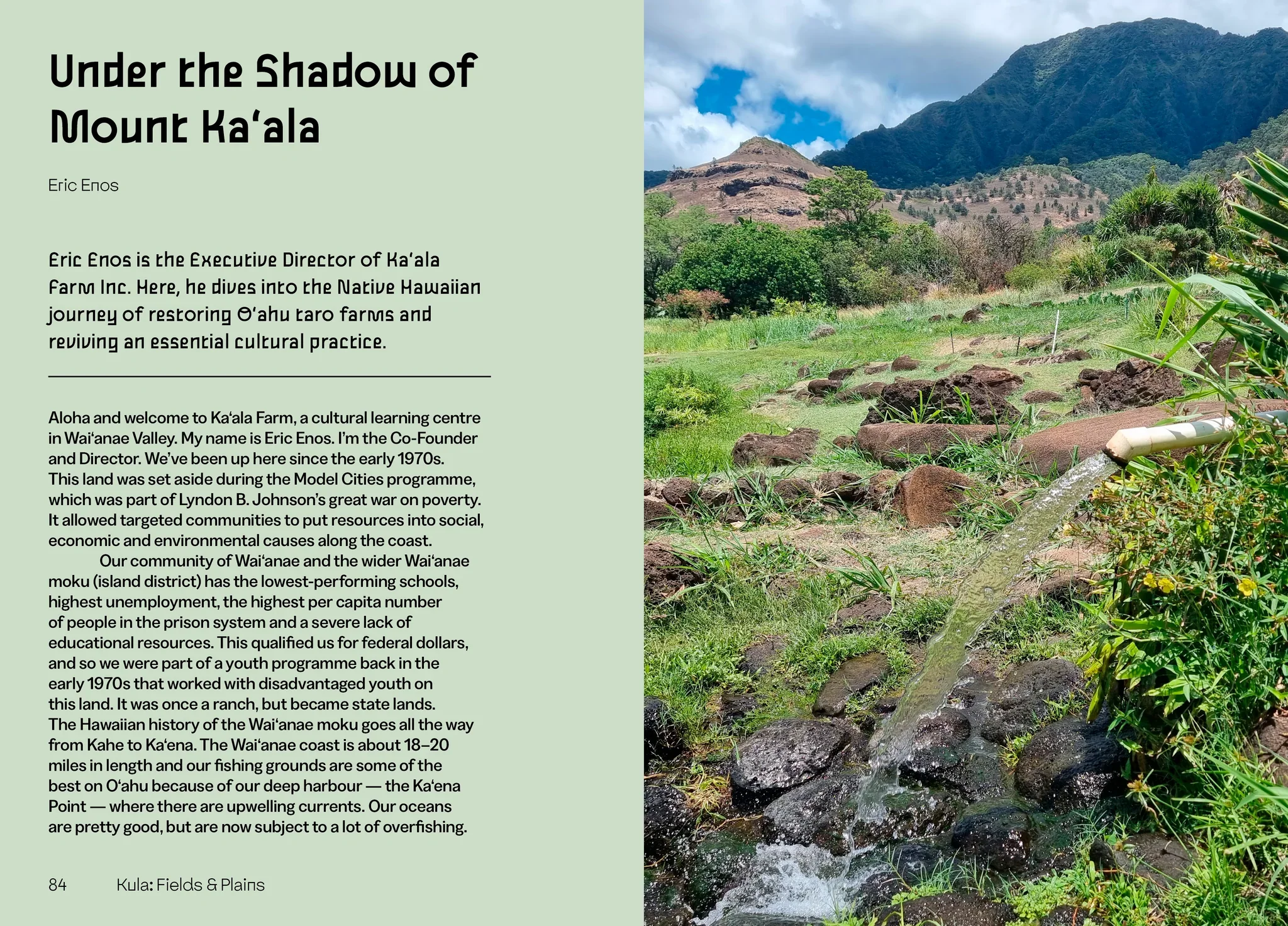 Mauka to Makai: Hawaiian Quilts and the Ecology of the Islands, Marenka Thompson‑Odlum - Image 4