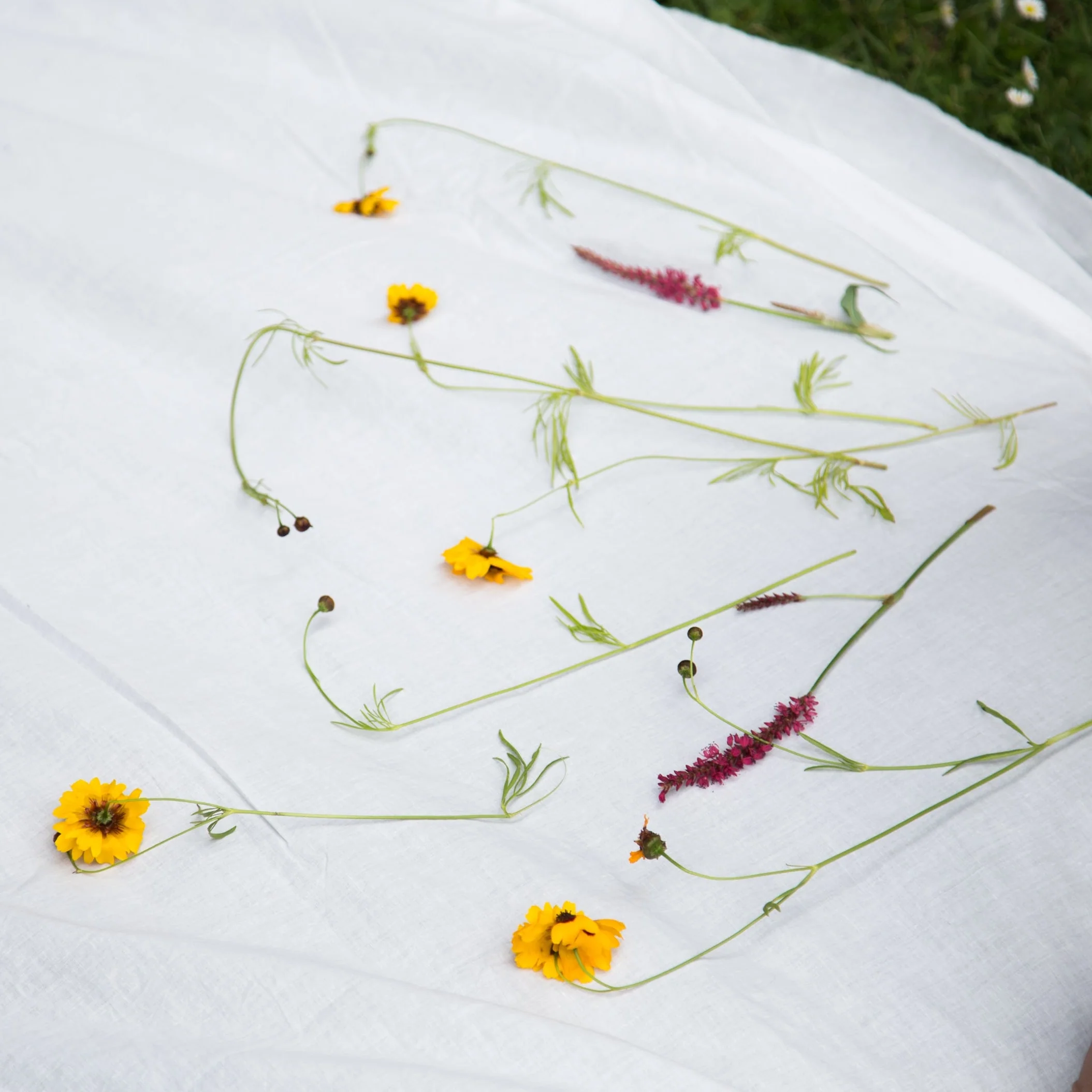 Saturday 28 & Sunday 29 November 2026, 2 - 5pm GMT: Randa Embroidery with Inês Queirós - Image 9