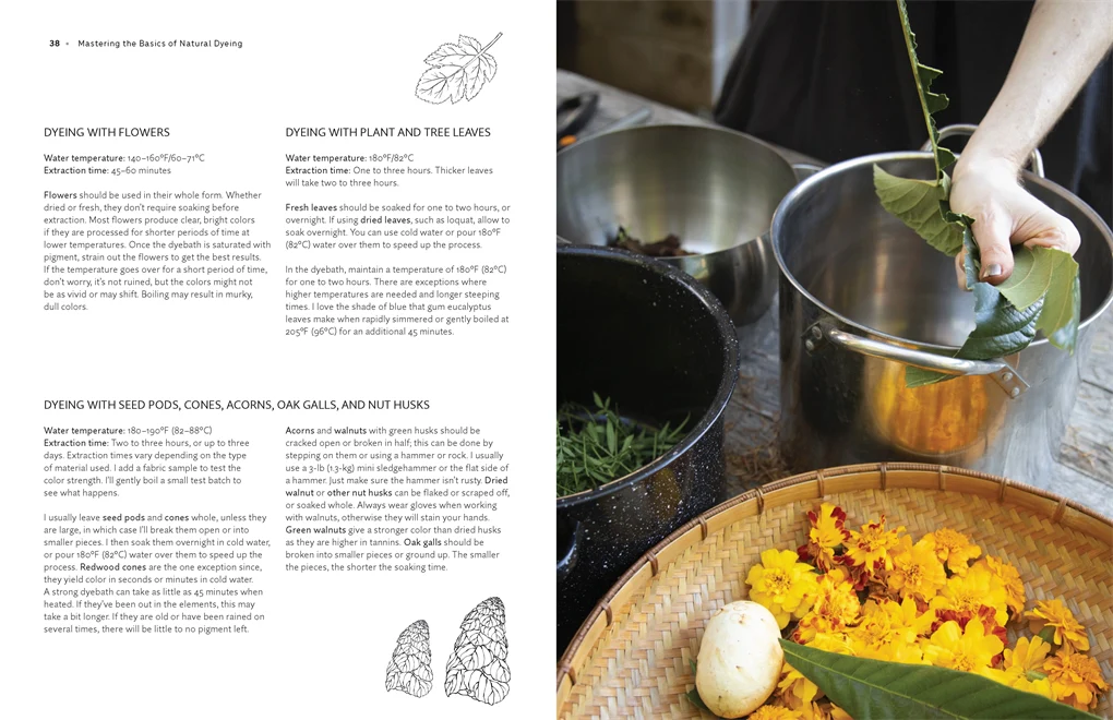 The Natural Dye Handbook: A Comprehensive Guide to Exploring Plant-Based Dyeing Techniques, Heidi Iverson - Image 6