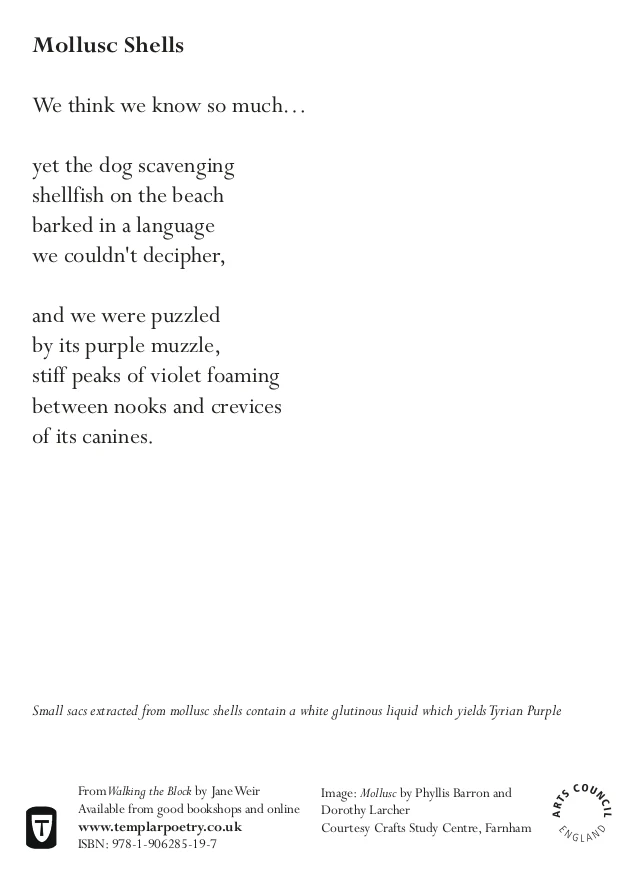 Walking the Block, Jane Weir - Image 3