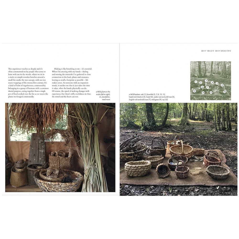 Wild Basketry: Making baskets and natural cordage from foraged plants, Ruby Taylor - Image 3