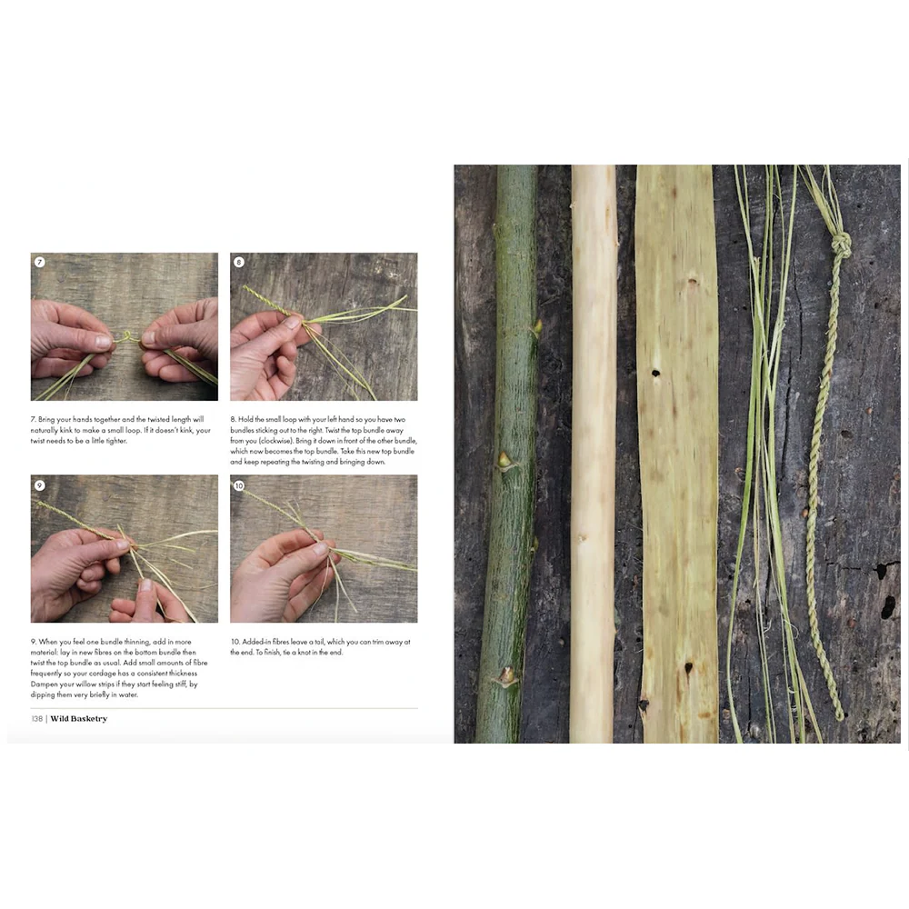Wild Basketry: Making baskets and natural cordage from foraged plants, Ruby Taylor - Image 5